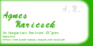 agnes maricsek business card